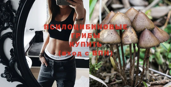 синтетический гашиш Алексин