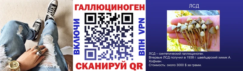 Галлюциногенные грибы MAGIC MUSHROOMS купить наркотик Курган