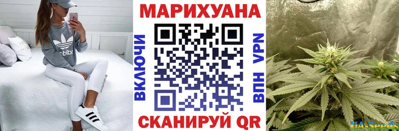 МАРИХУАНА SATIVA & INDICA  сайты даркнета какой сайт  Курган 